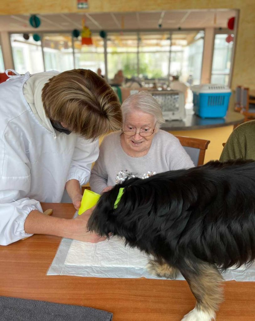 Atelier avec les animaux